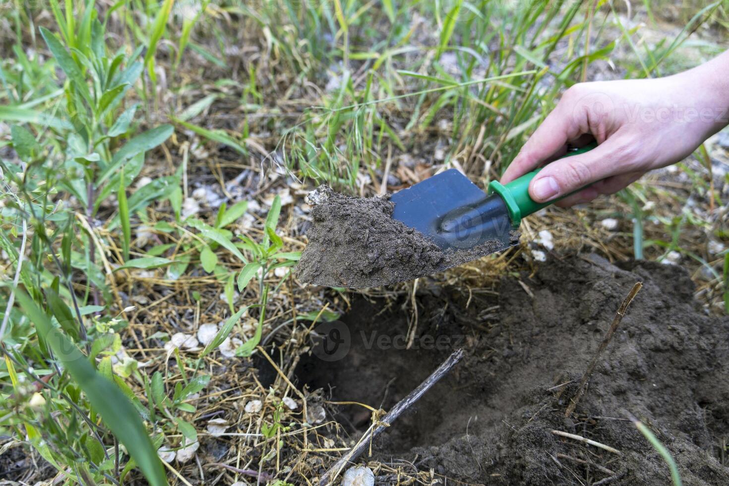 Hand holding a shovel with a soil , eco-friendly gardening, tree planting, sustainability, environmental conservation, nurturing nature, green earth care photo