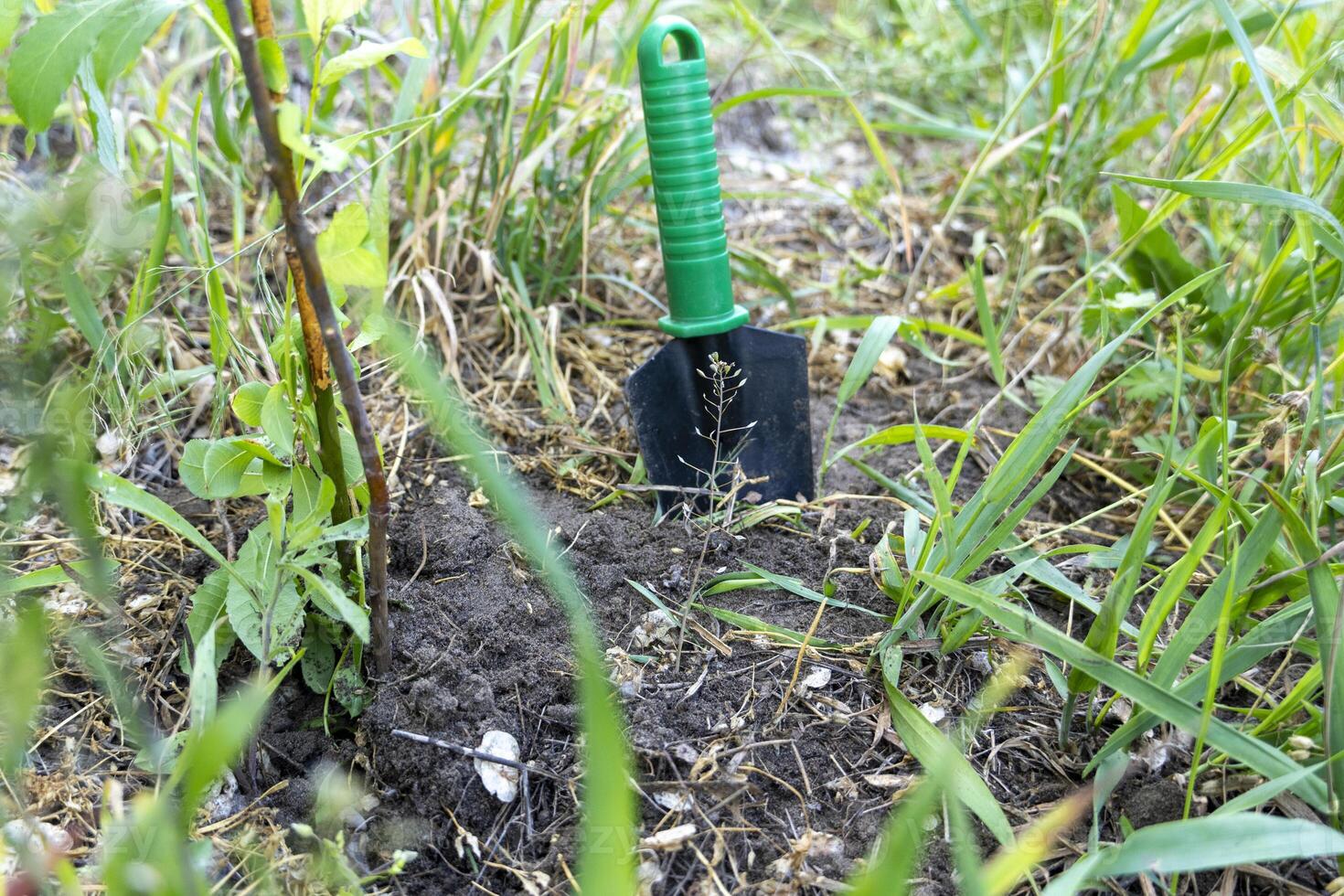 Mini shovel in the soil, eco-friendly gardening, tree planting, sustainability, environmental conservation, nurturing nature, green earth care photo