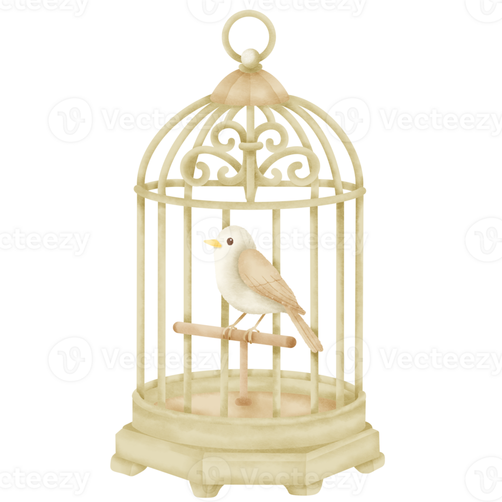 Hand Drawn Bird in a cage Clipart for Cottagecore Journaling, Scrapbooking, Wedding Cards, Invitations, Planners, and Crafting Projects png