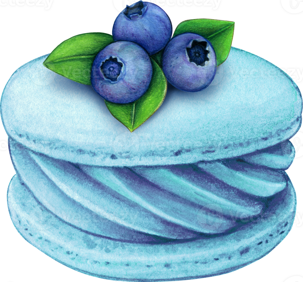 Watercolor hand drawn realistic macaron blueberry png