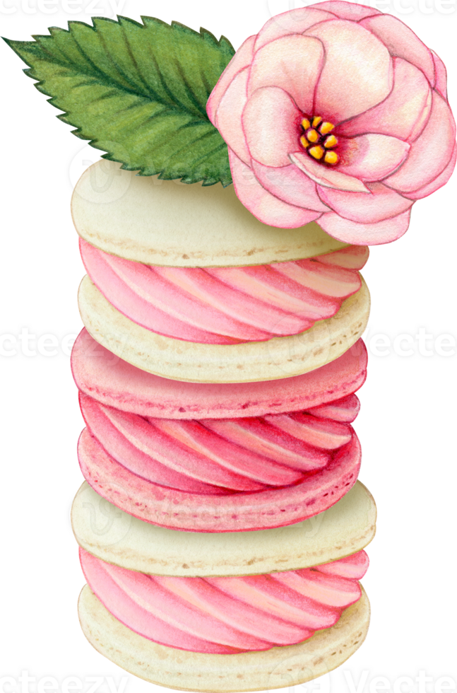 Watercolor hand drawn realistic macarons pink stack png