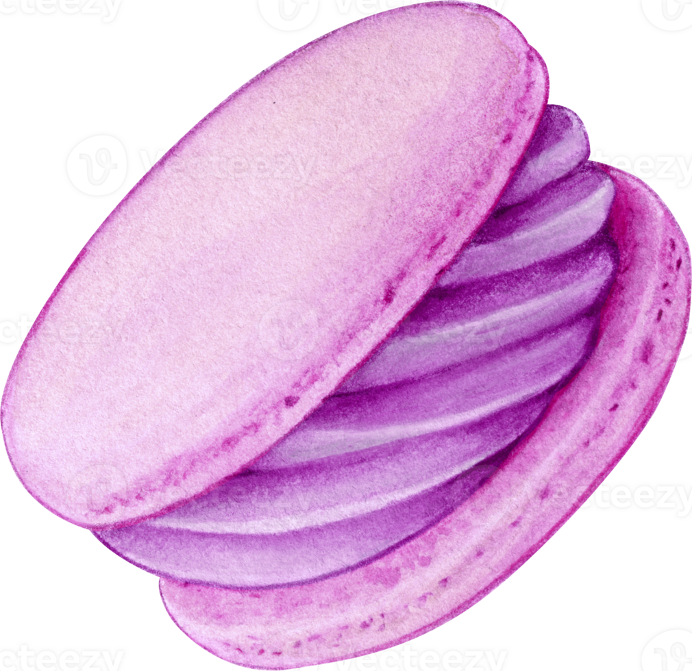 Watercolor hand drawn realistic macaron purple png