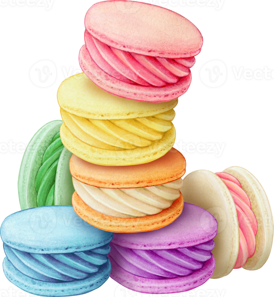 Watercolor hand drawn realistic macarons stack png