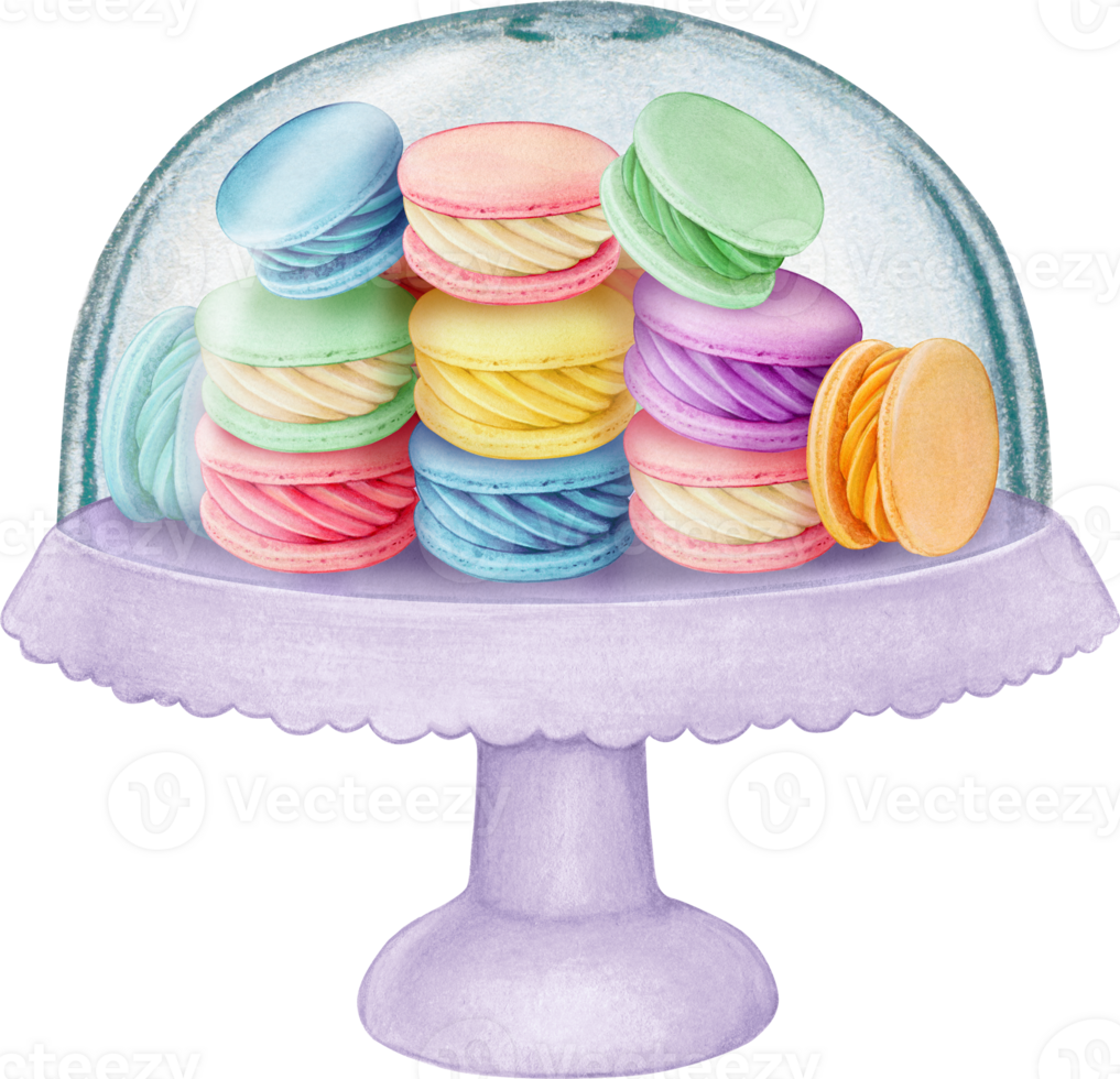 Watercolor hand drawn realistic macaron tray png