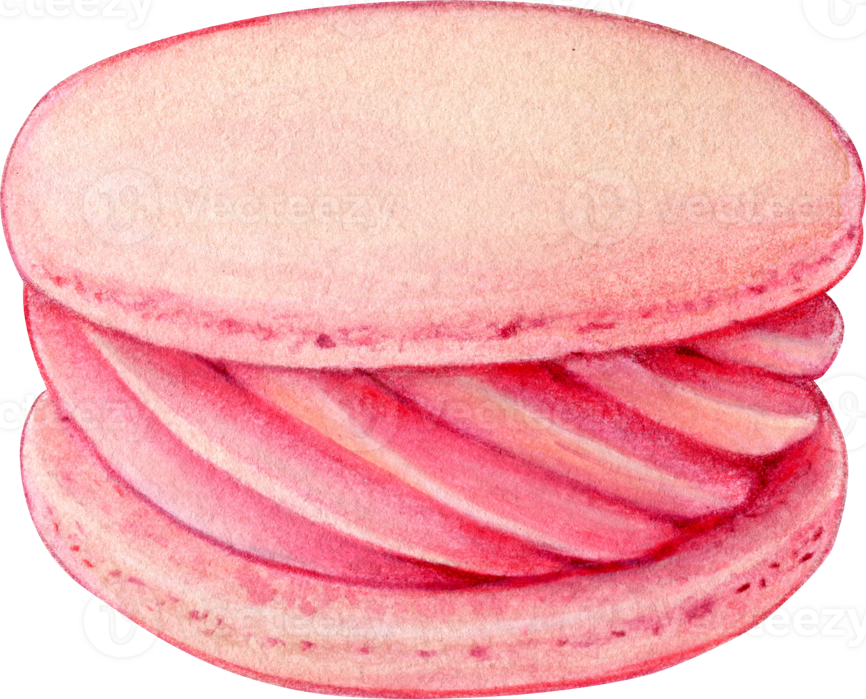 Watercolor hand drawn realistic macaron pink png