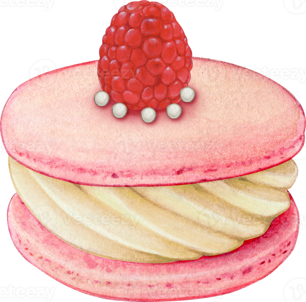 Watercolor hand drawn realistic macaron raspberry png