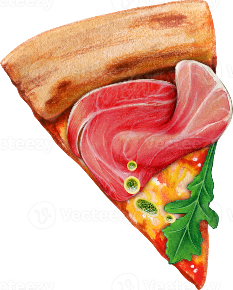 Watercolor hand drawn pizza slice with prosciutto png