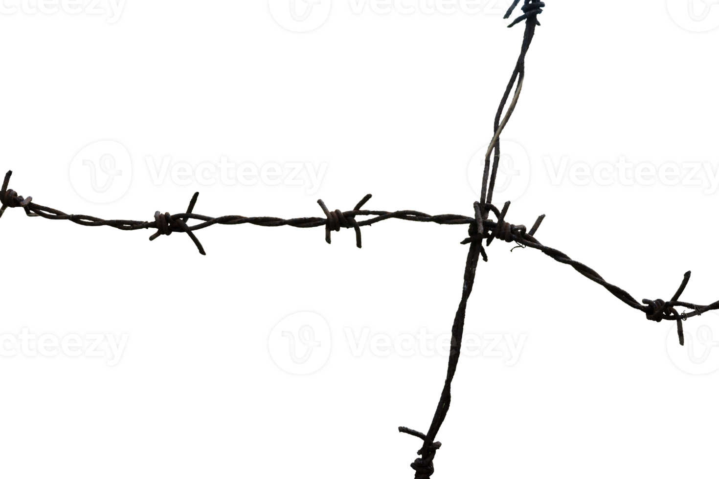 aesthetic rusty barbed wire for design element png