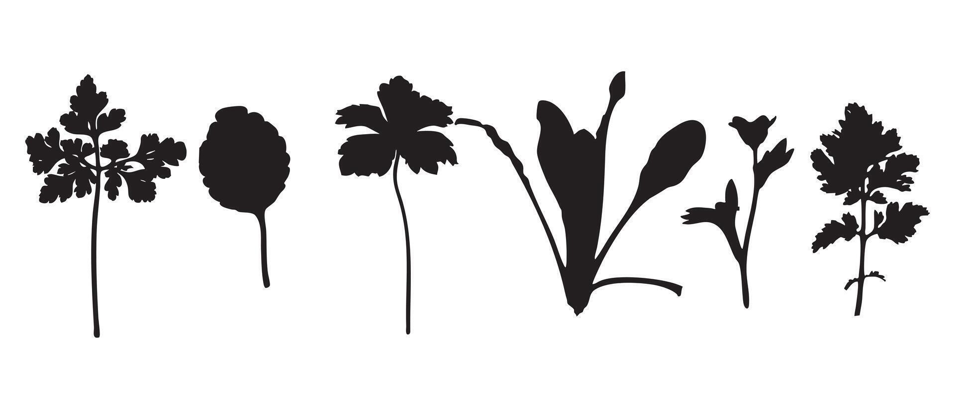 Silhouette Collection of Herb and Leaf Shapes vector