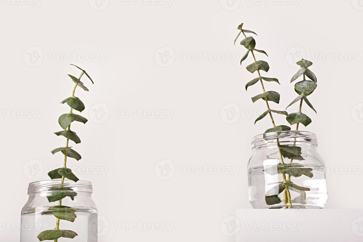 Eucalyptus in glass jar on white podium, fragrances, low angle photo