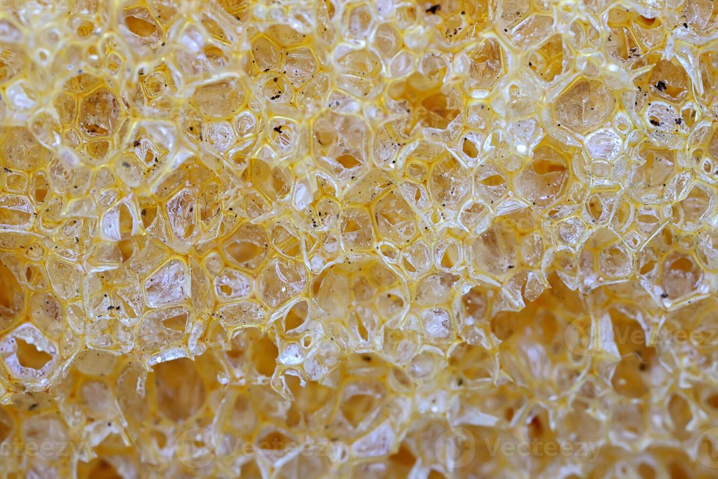 Yellow sponge detail texture, sponge texture background photo