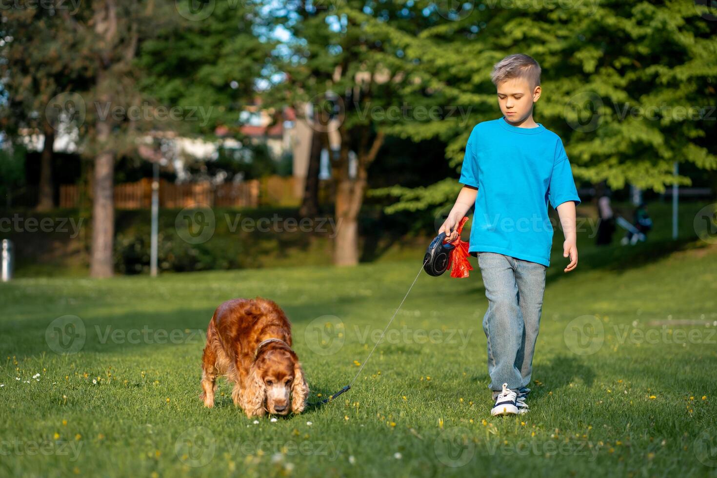 A cute boy in a blue T-shirt walks on a leash with his dog in a city park photo