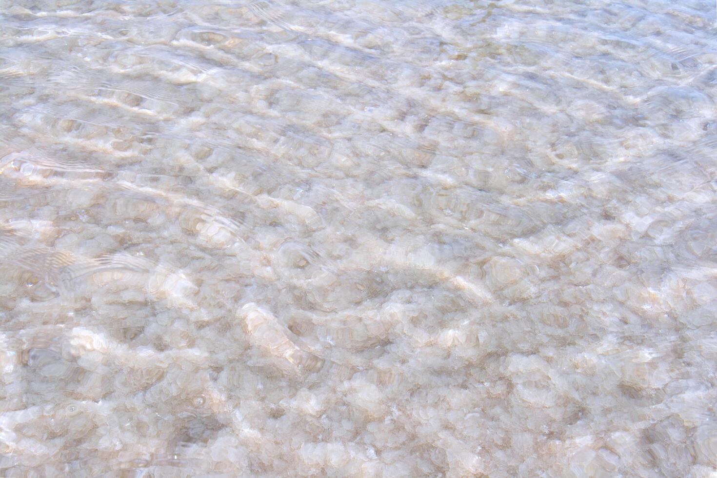 Raw salt texture under water of a salt lake photo