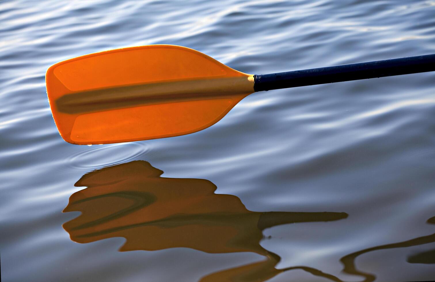 Kayak paddle in a calm river photo