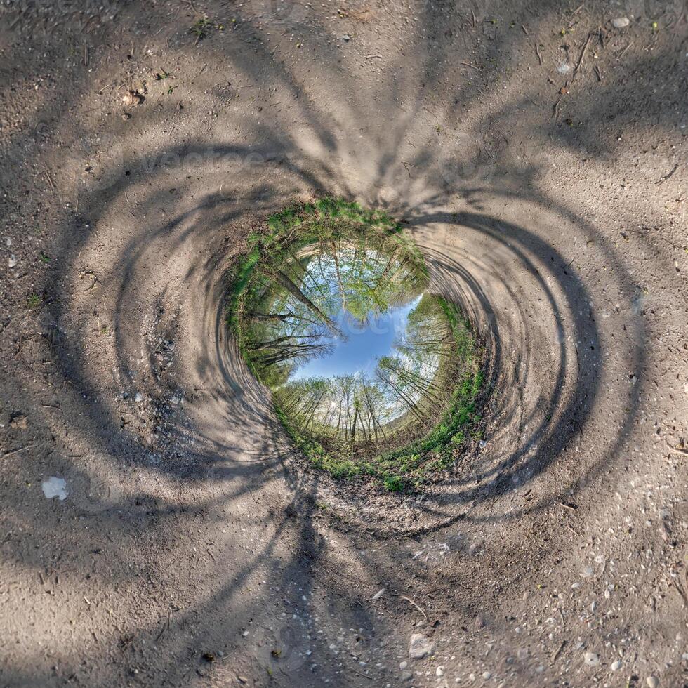 A circular hole in the ground with a tree in the middle photo
