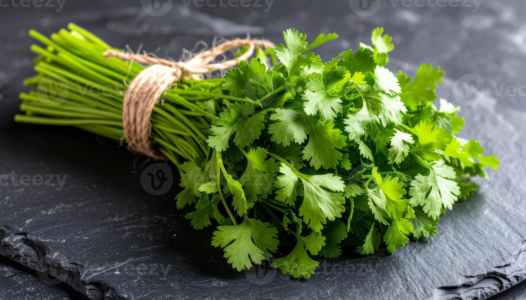 Fresh Coriander Bundle Tied with Natural String photo