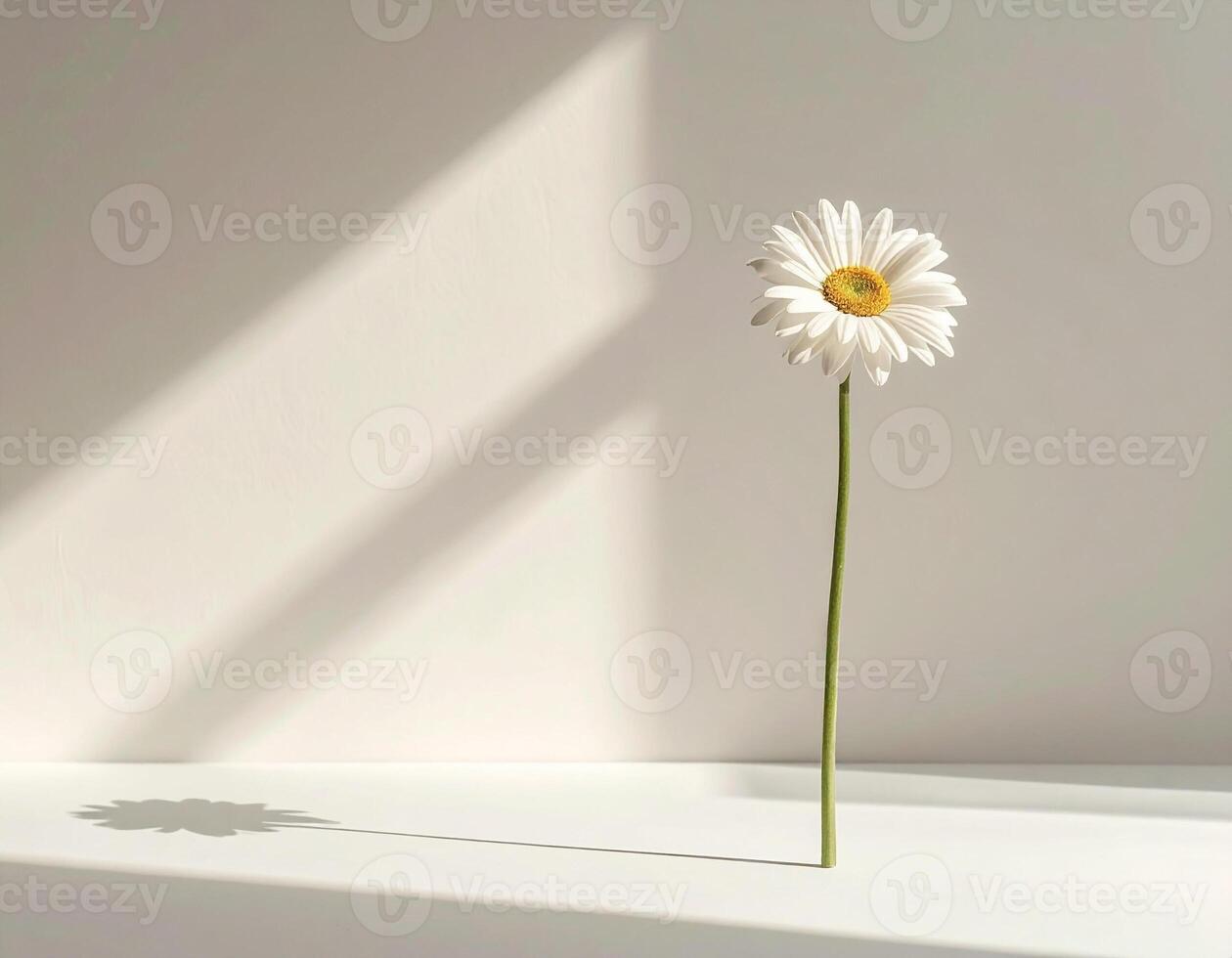 Minimalist image of a flower in bright pastel photo