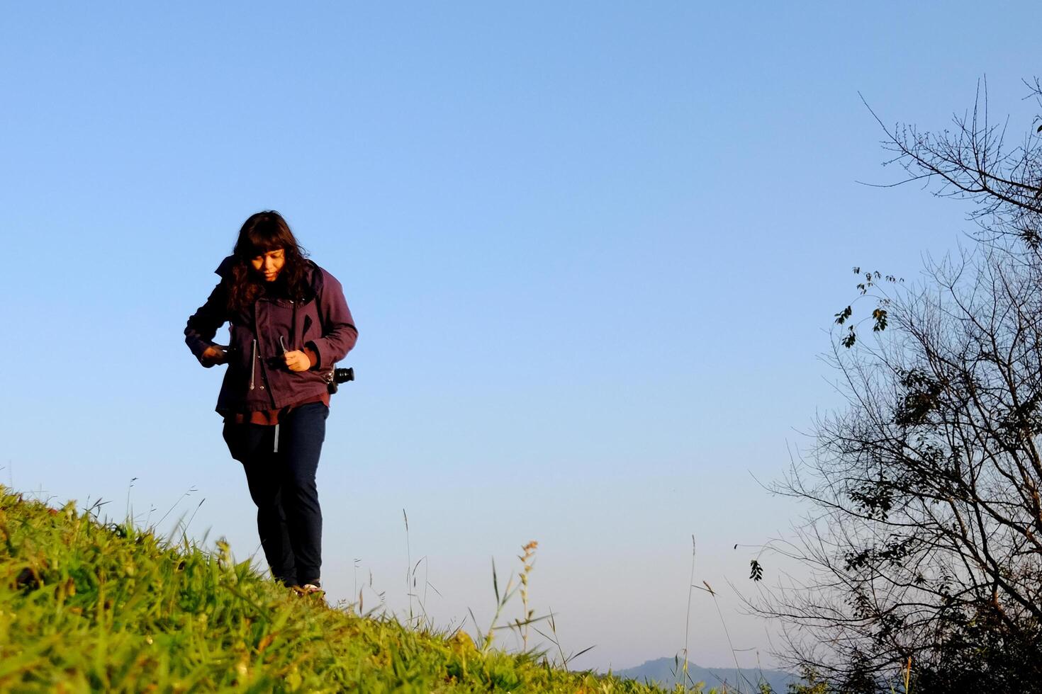 Traveler Asian woman wearing jacket walking on green lawn grass and blue sky with sunrise in winter with valley mountain view in Chiangmai Province of Thailand photo