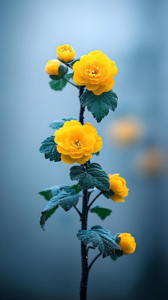 Vibrant Yellow Flower with Dew Drops and Soft Blue Background photo