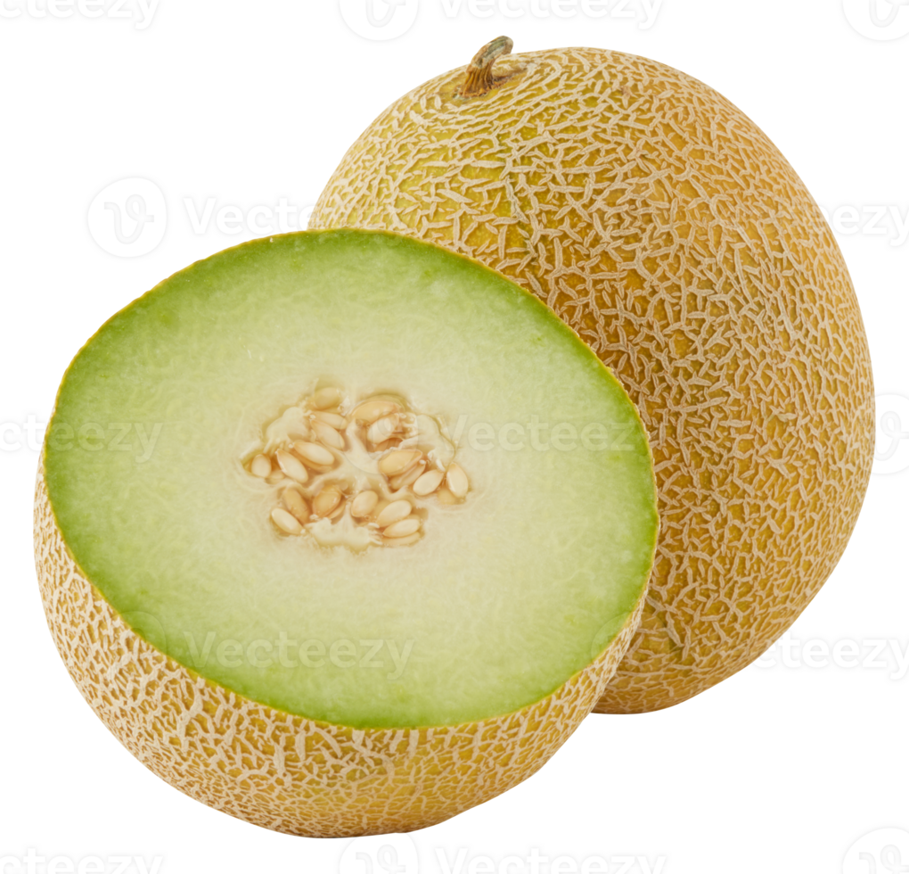 Fresh cantaloupe cut out isolated transparent background png