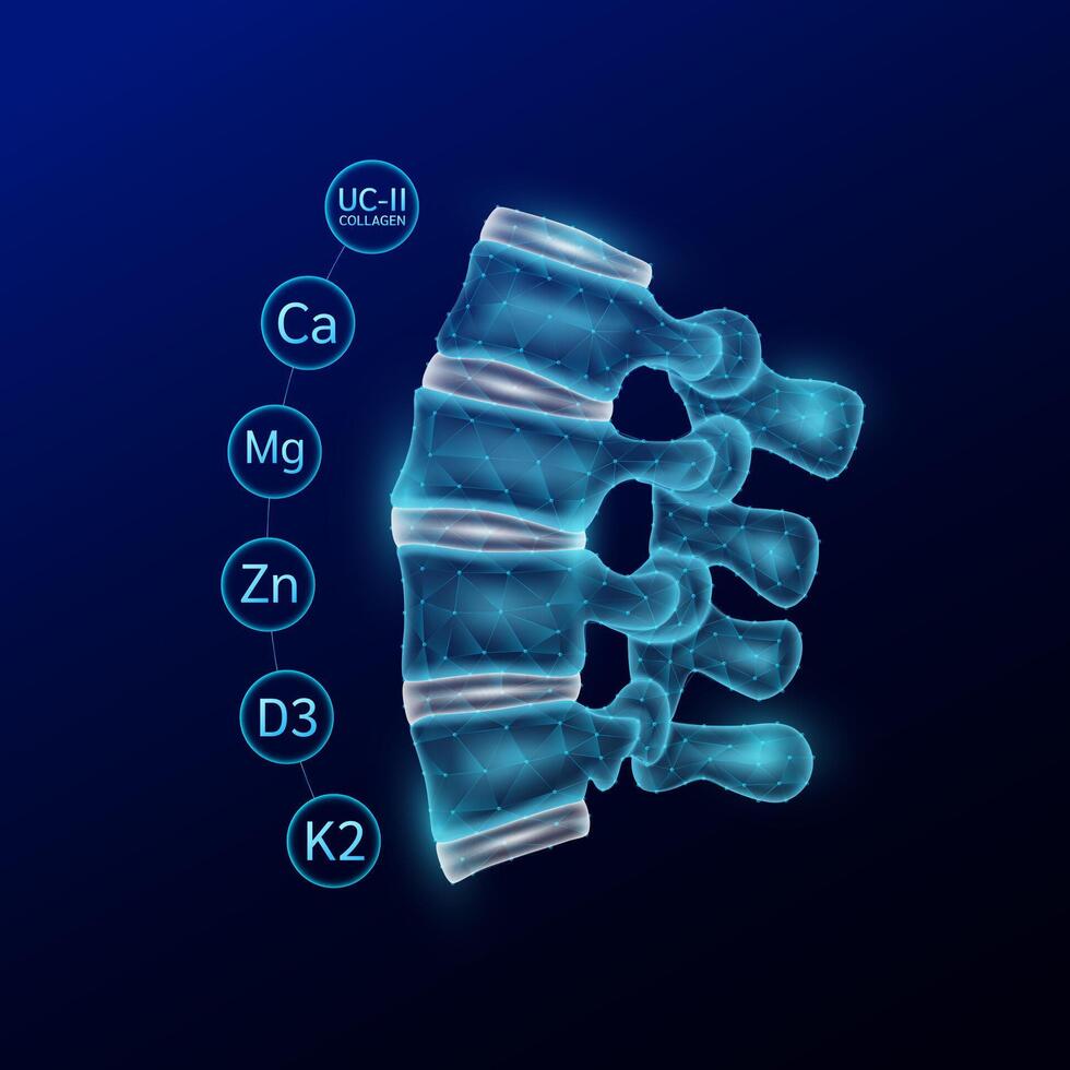 Vertebrae translucent polygon style surrounded by collagen vitamins and minerals calcium zinc magnesium protect and bone spine joint cartilage. On blue background. vector