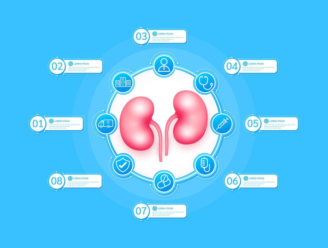 Kidney health care infographic with presentation timeline steps medical research. And stethoscope, syringe, saline, drug, ambulance car, doctor. Style icons on blue background. illustration. vector