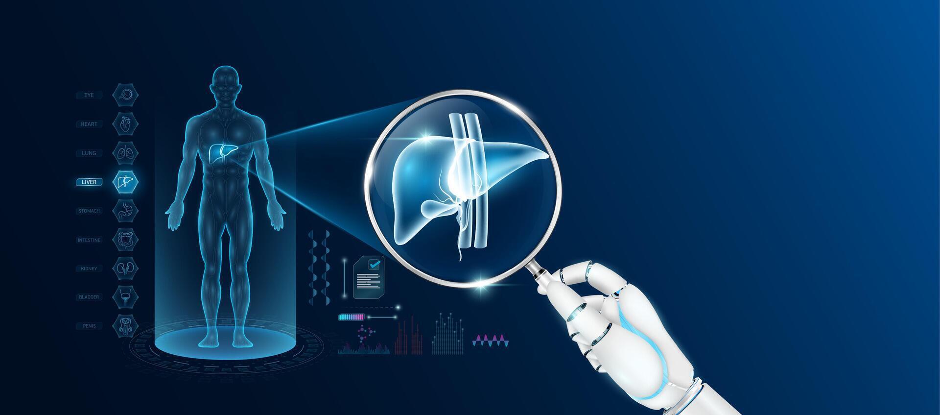 Doctor robot hand holding magnifying glass looking liver analysis diagnosis with AI artificial intelligence technology. Anatomy hologram of the male body. Innovative medical healthcare. vector
