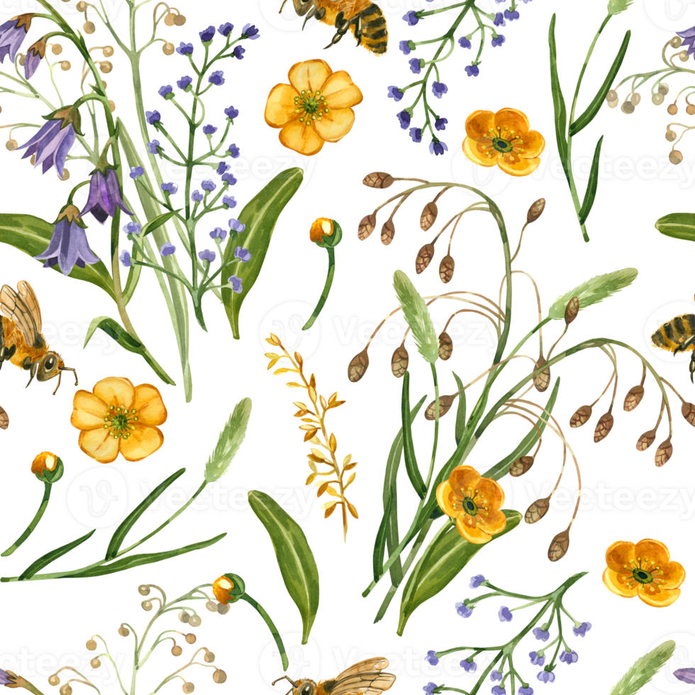 Wild flowers, bouquets of meadow flowers, yellow buttercups, leaves and cereal plants.Seamless watercolor pattern. All objects are hand-drawn with watercolor. For printing on fabric, paper, stationery png