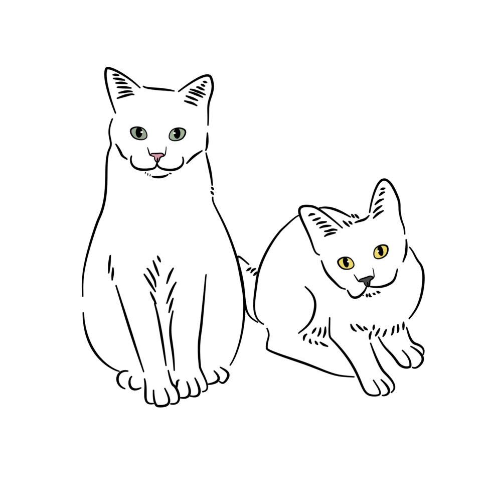 Two cats are next to each other, sit and stand up png