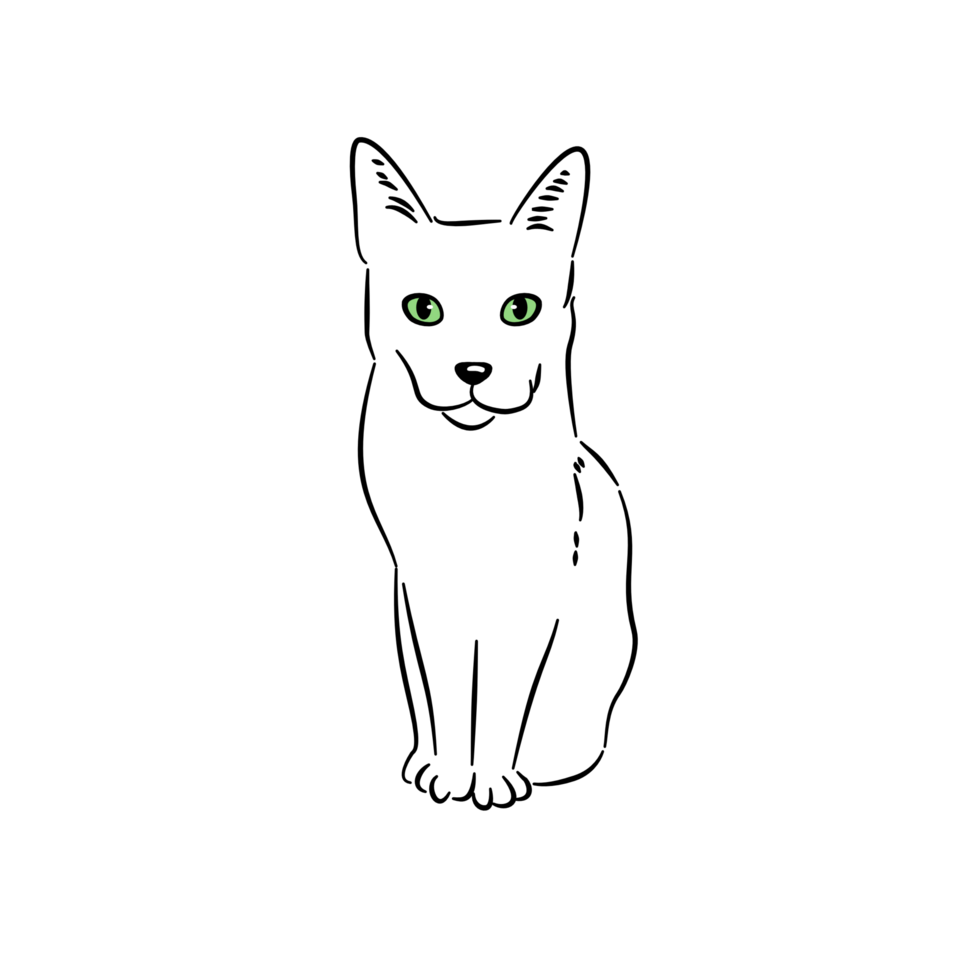 A black cat sit line art black and white png