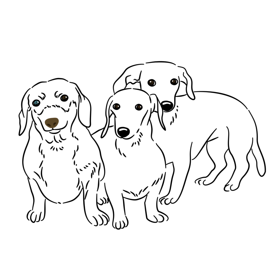 Three dogs sitting next to others png
