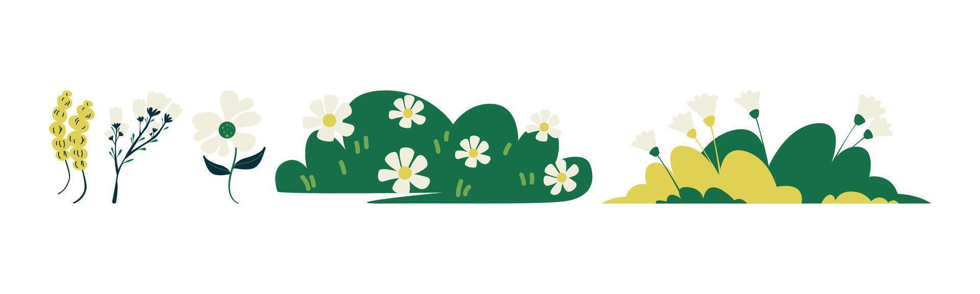Floral collection of botanical elements, flowers, branches, grass, leaves, and other plants. Ideal for invitations, greeting cards, and other designs. vector