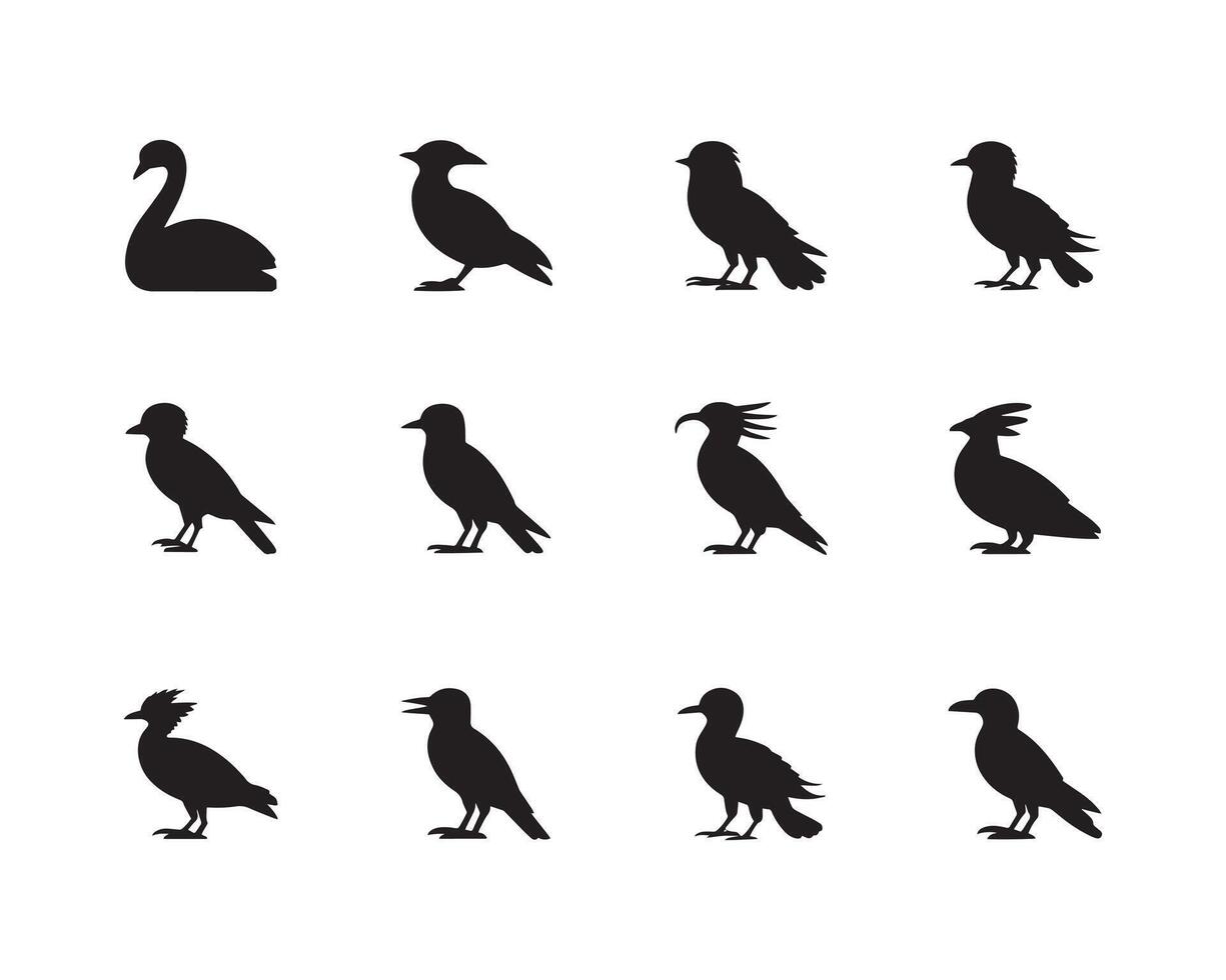 Set of bird silhouette , black and white background, and illustration, black and white, isolated on white background vector