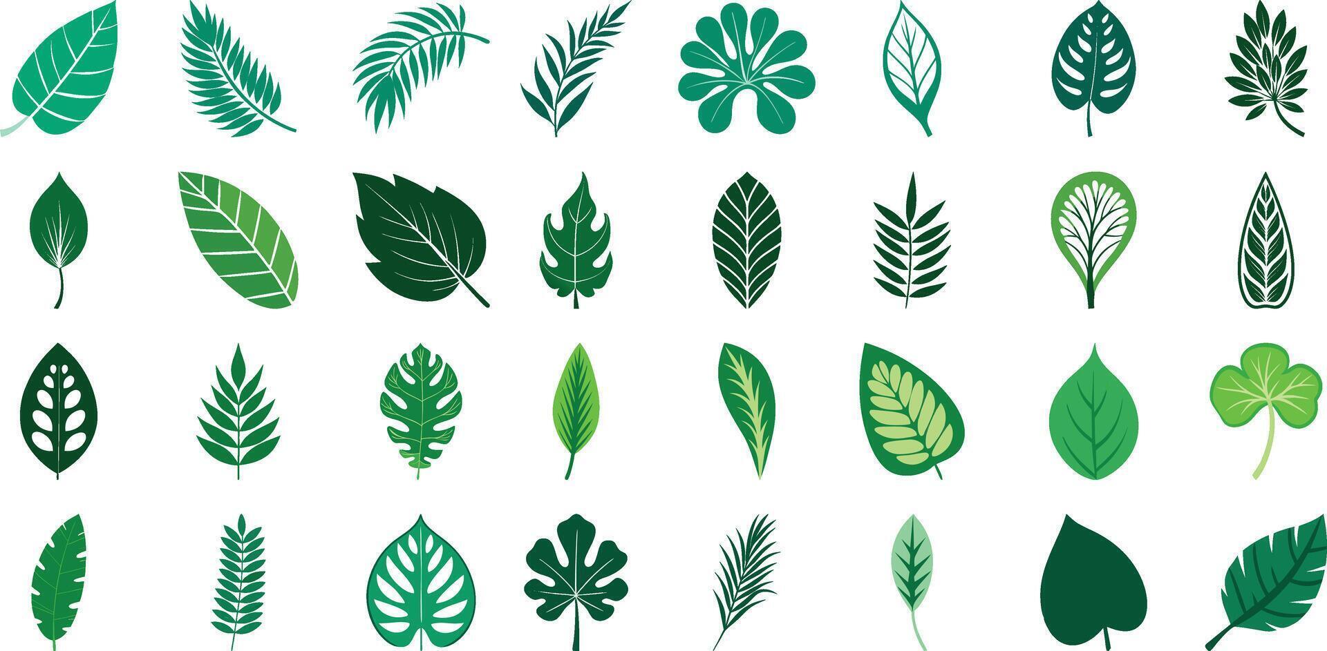 Green Leaf Icons Set for Nature Eco Projects vector
