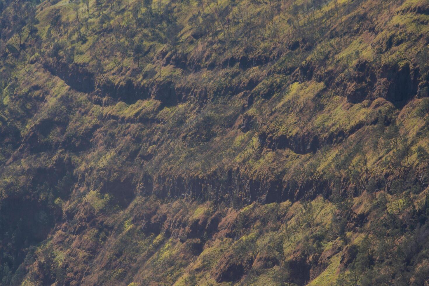 Natural cliff texture with green vegetation at Mount Bromo, East Java, Indonesia. Rocky mountain surface, nature background, geological formation, travel destination, wilderness landscape. photo