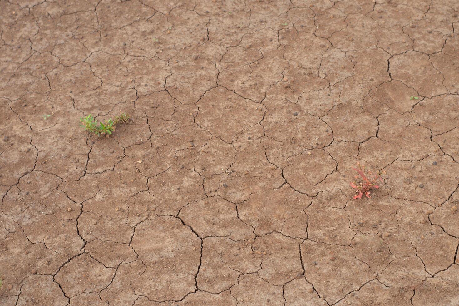 Parched, cracked earth from extreme drought shows the impact of climate change and water scarcity. A powerful visual for themes of global warming, dry seasons, and environmental crisis. photo
