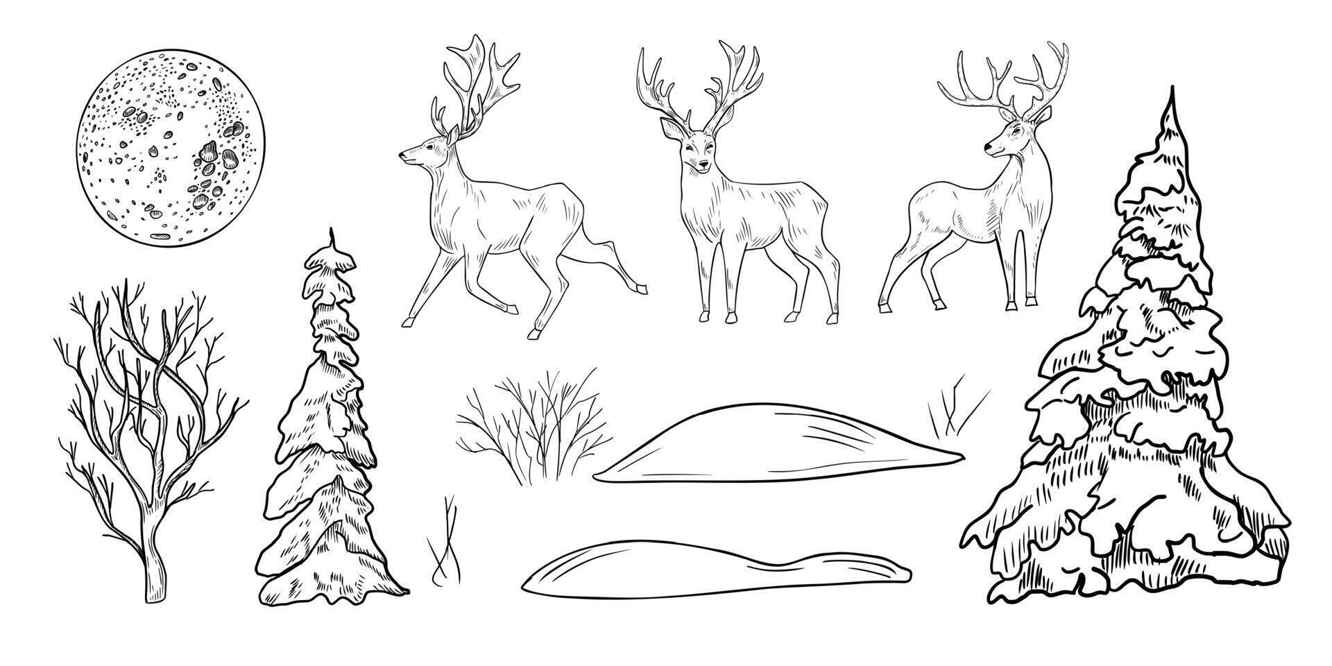 Hand drawn black white deer and forest outline clipart illustration. Woodland animal line art sketch with fir trees, bare tree, full moon and snowy ground for winter and Christmas landscape. vector