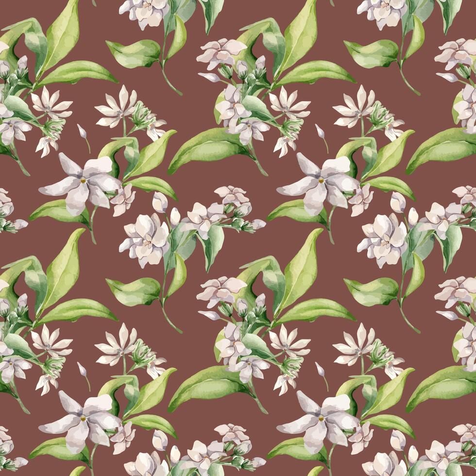 Watercolor seamless pattern of jasmine bunch, buds, leaves isolated. Botanical repeated texture of white flowers hand drawn soft colors. Floral foliage background for design textile, package, paper vector