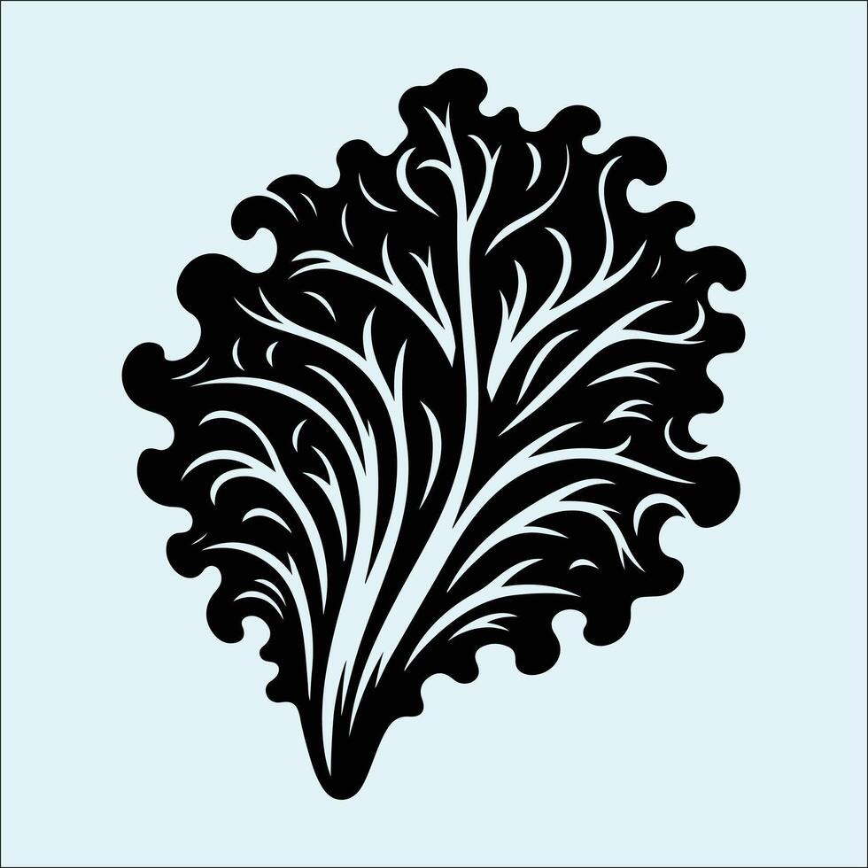 Lettuce plant black silhouette with realistic leaf form vector