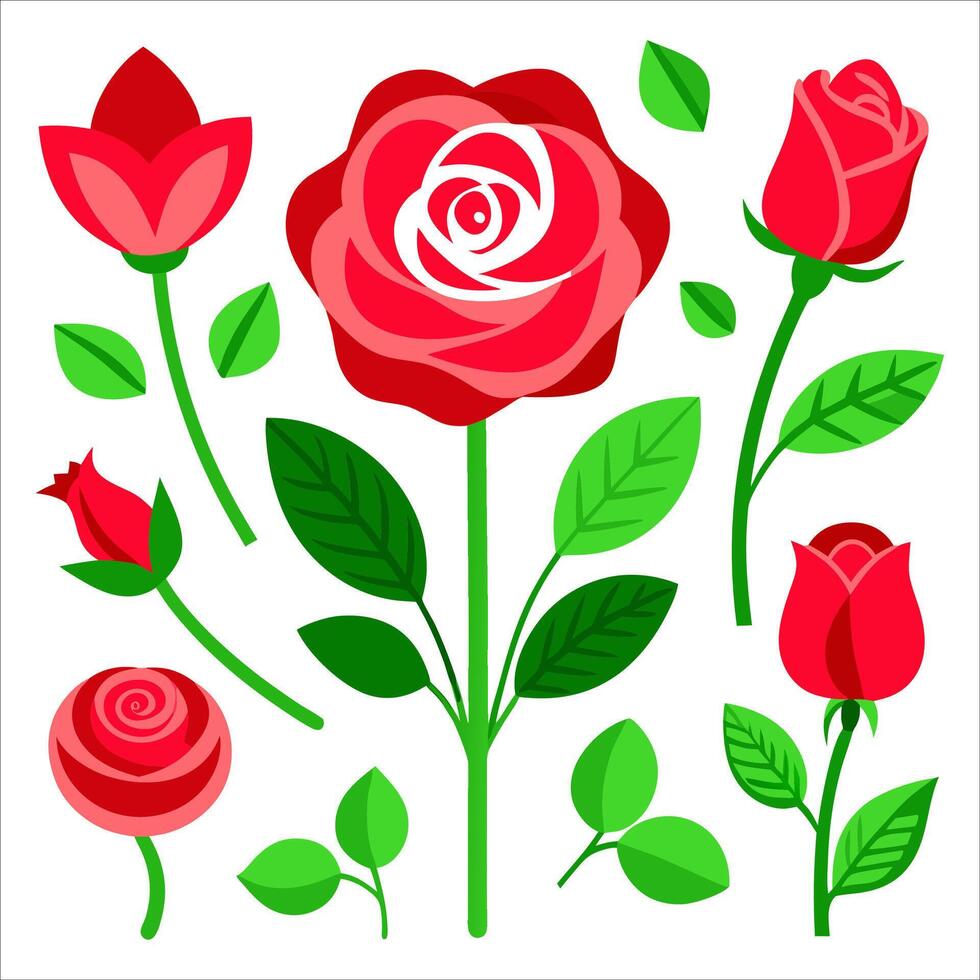 Red roses and leaves on white background vector