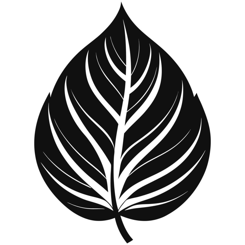 A black and white illustration of a leaf vector