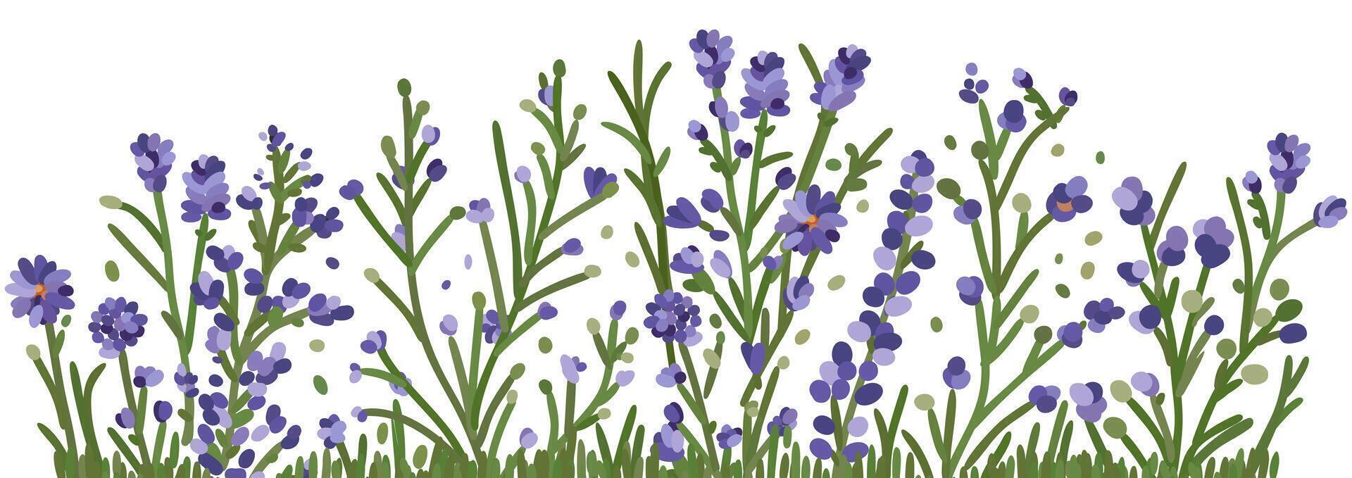 Blue wildflowers, herbs and grass. isolated illustration vector