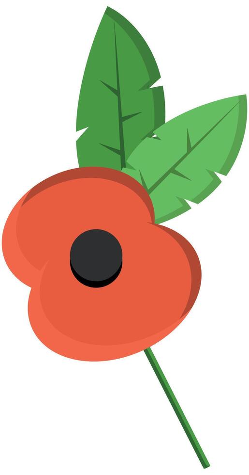 Red poppy flower lapel pin, Button hole remberance Sunday design element vector