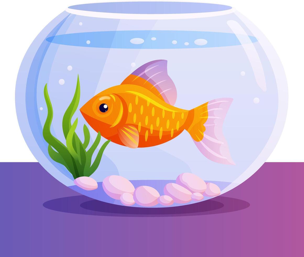 goldfish in aquarium with stones and algae, pet, gradient vector
