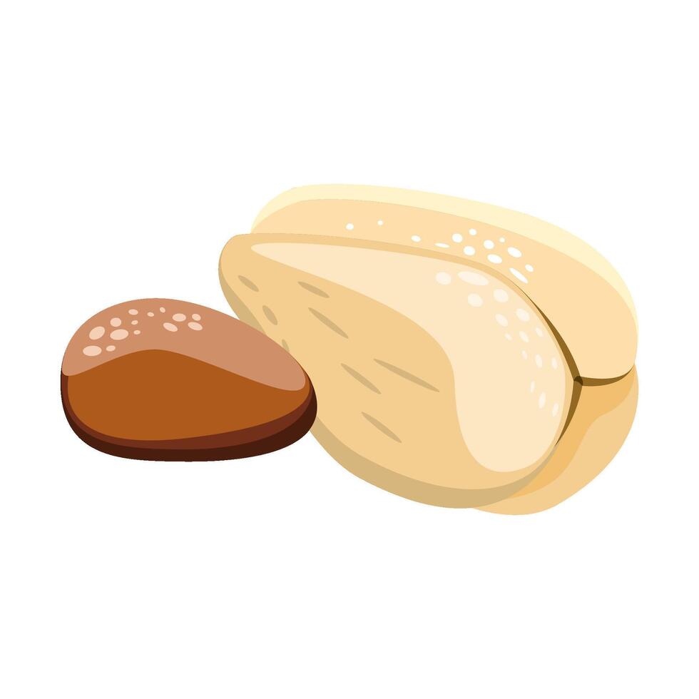 Peeled salak is snake fruit and pit vector