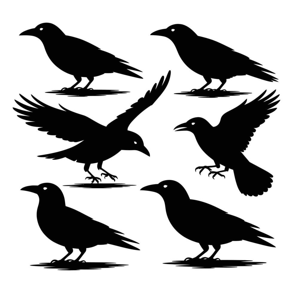 Crow and Raven Silhouette Set Standing and Flying Poses vector
