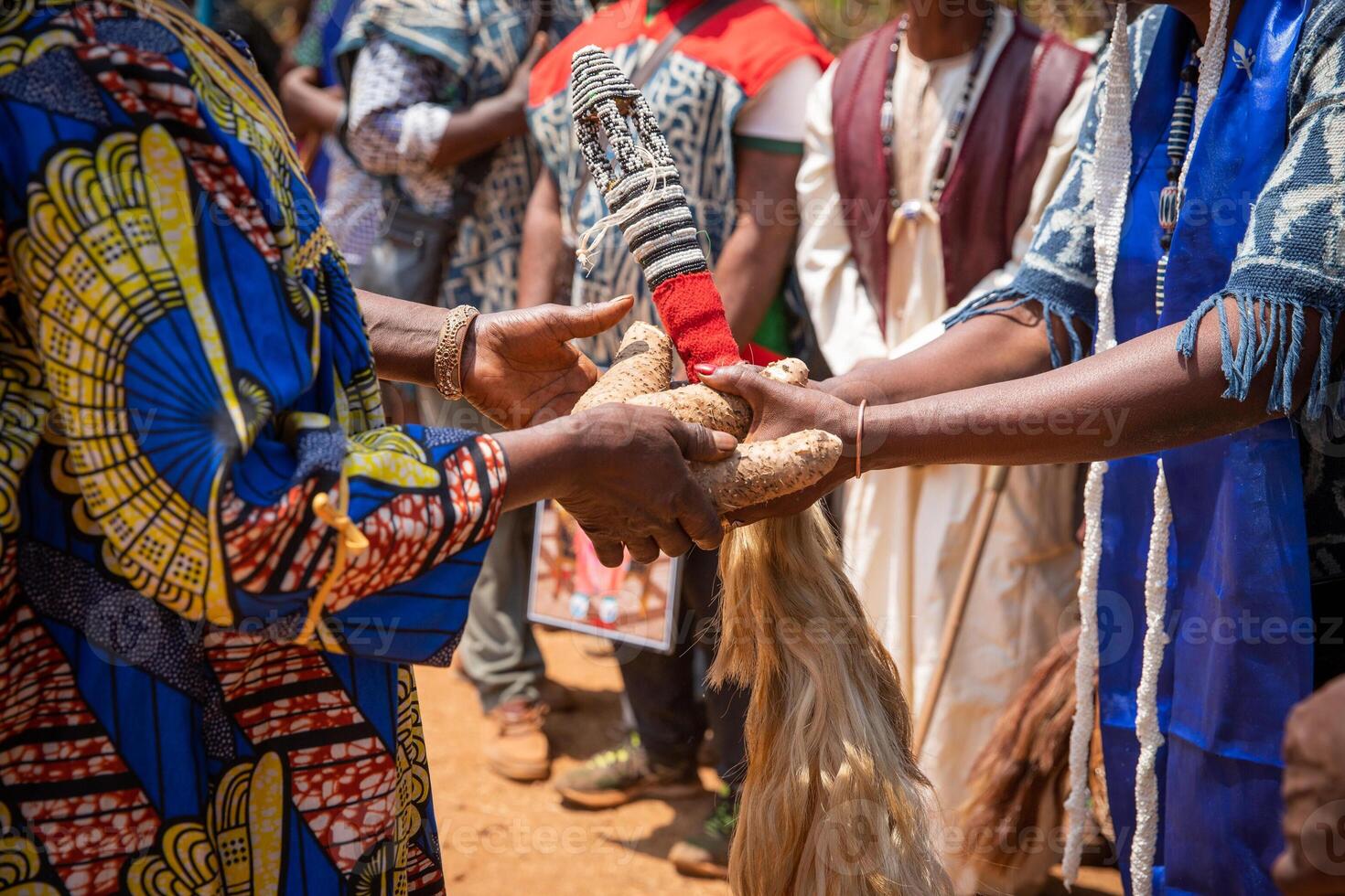 African celebration, during a funeral two people pass tubers and a ponytail to each other. photo
