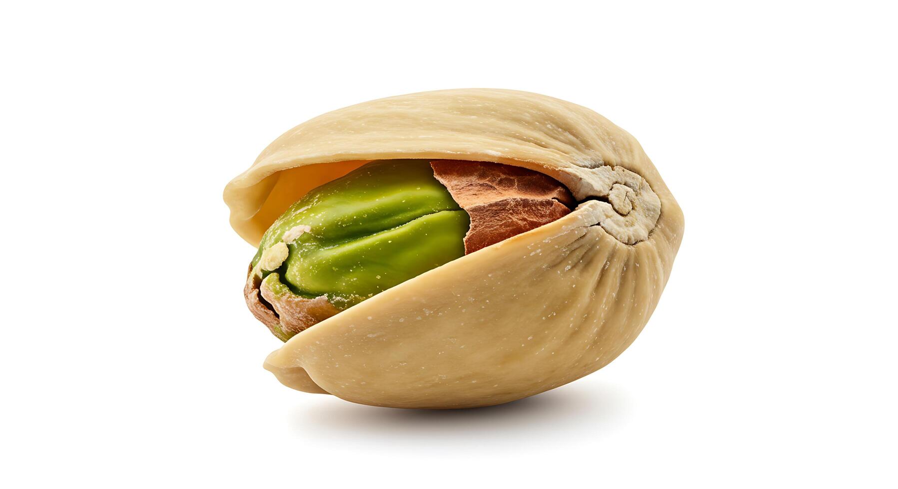 A nut with a green shell photo