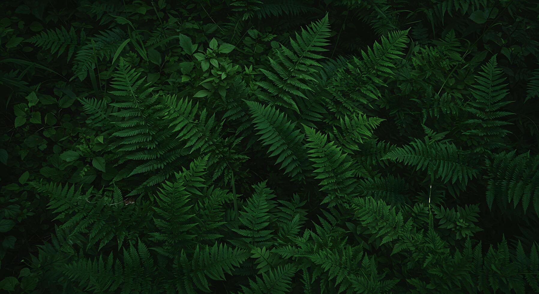 A green fern plant is seen in the dark photo