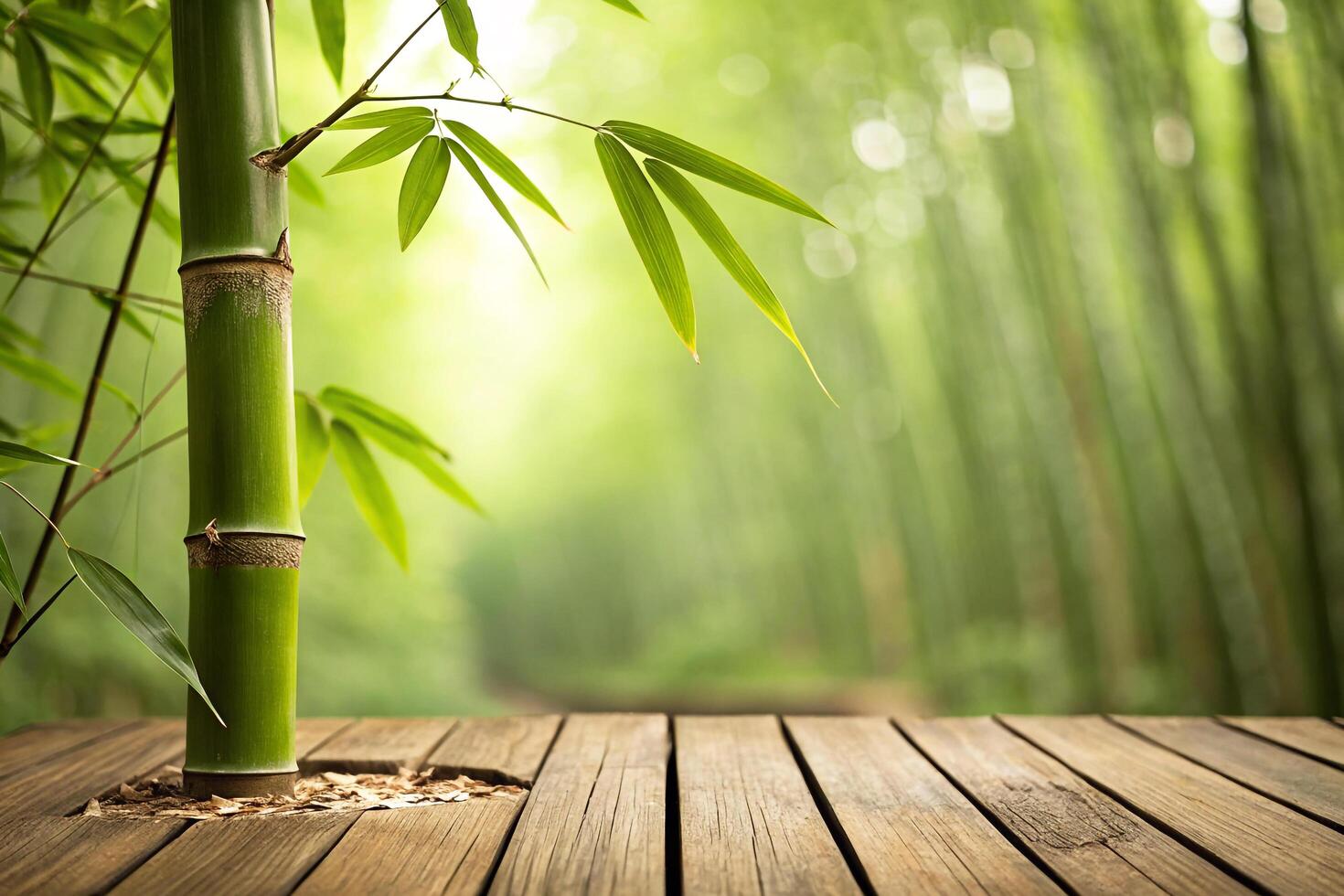 Serene Bamboo Forest Tranquil Nature Wooden Deck Scene photo